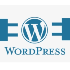 WordPress Software